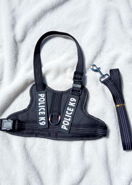 conjunto pretal+ correa k9