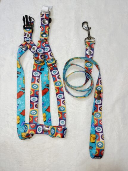 conjunto pretal + correa huellas