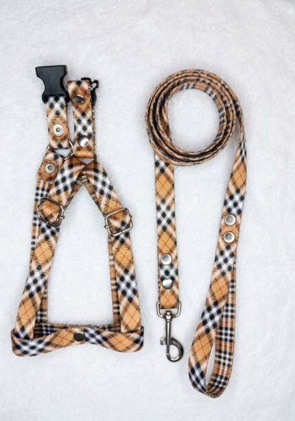 conjunto pretal + correa cuadrille