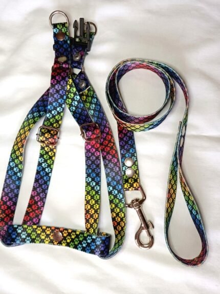 conjunto pretal + correa huellas colores